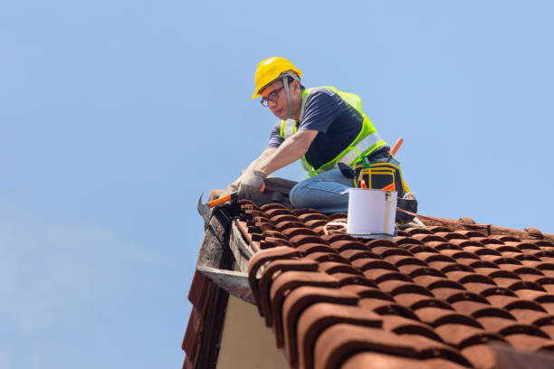 Gutter Replacement in Ivanhoe, TX